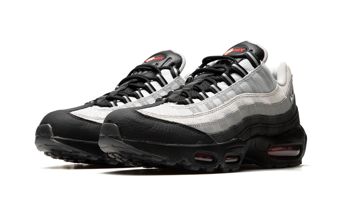 Air Max 95 "Fish Scales" DQ3979 001