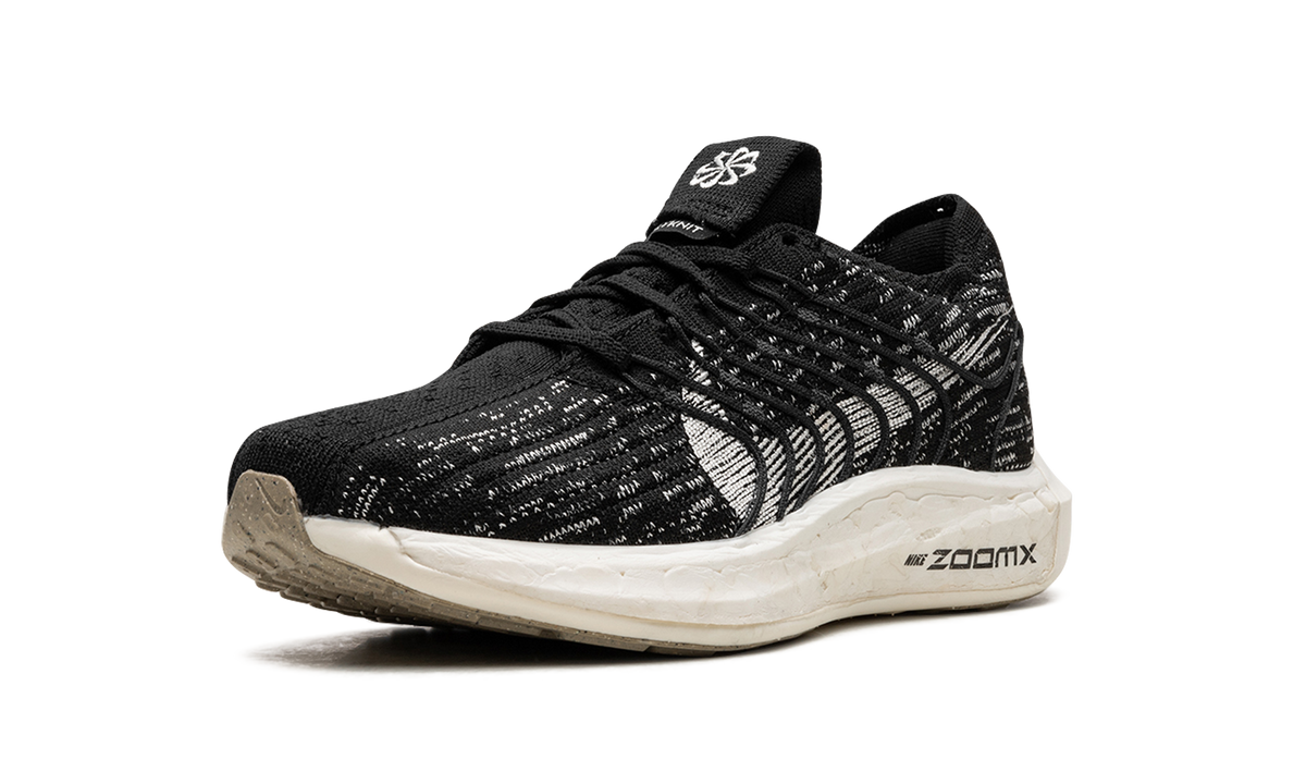 PEGASUS TURBO NEXT NATURE WMNS"Black Sail" DM3414 001