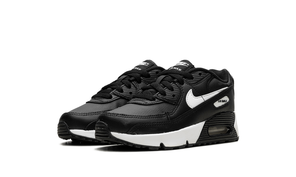 Air Max 90 "Black White" CD6867 010