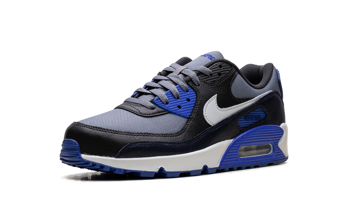 Air Max 90 Gore-Tex "Cool Grey Anthracite Obsidian Pure Platinum" FD5810 003