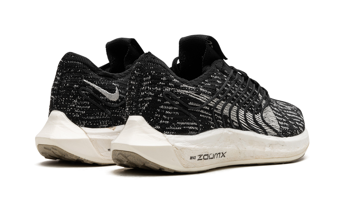 PEGASUS TURBO NEXT NATURE WMNS"Black Sail" DM3414 001